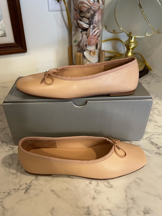 Everlane Shoes - NWT Everlane The Day Ballet Flat Pale Pink Soft Leather Shoes Size 8